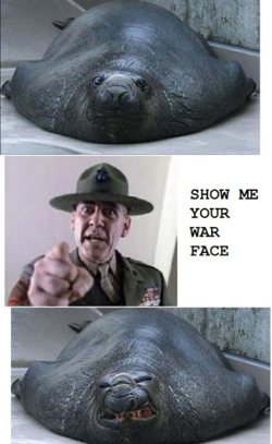 1605573723376.png