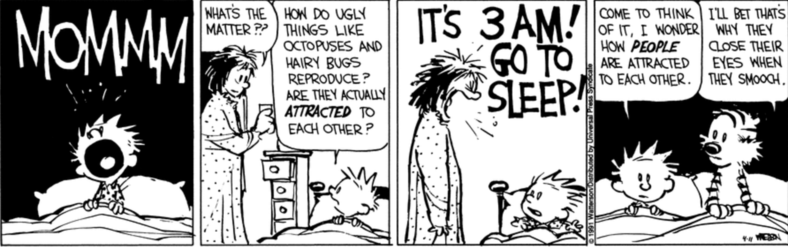 calvinandhobbeshairybugs.png