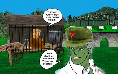1605458198853m-1.jpg