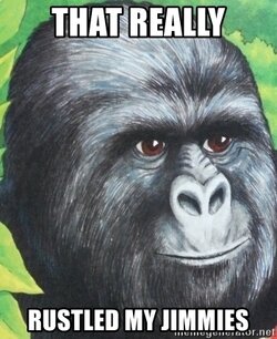 that-really-rustled-my-jimmies.jpg
