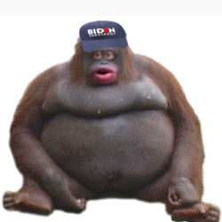 uhohvoterfraud.png