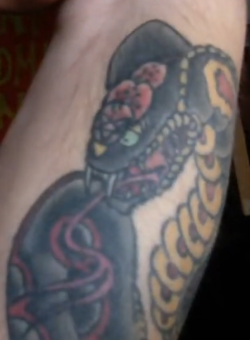 head.PNG