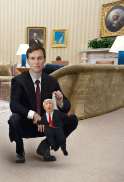 1550982294000.gif