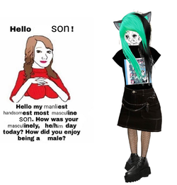 trans.png