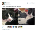 upload_2017-1-16_0-11-25.png