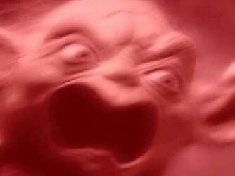 angry yoda.jpg
