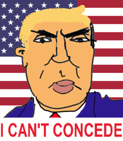 1606958165311.png