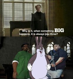 CjFWFnd.jpeg