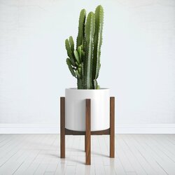 Square+Modern+Plant+Stand.jpg