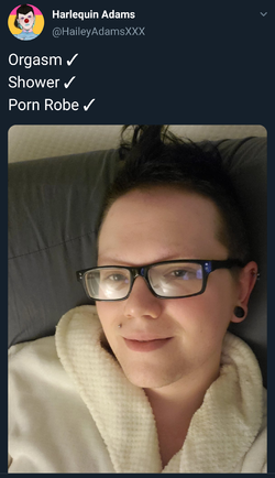 263647.png