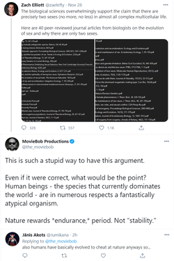 678678.png