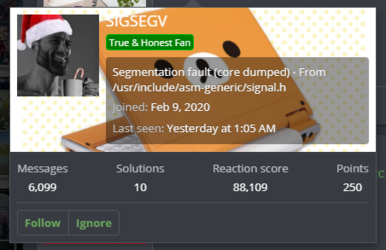 sigsegv.png