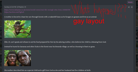 gay layout.png