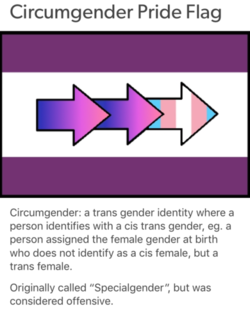 circumgender.png