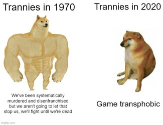 tranniesthenandnow.jpg