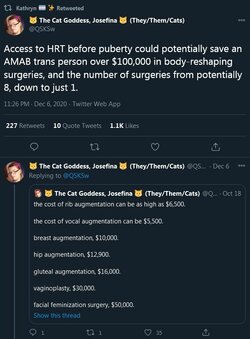 tranny insanity.JPG