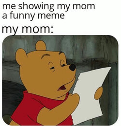 mom memes.jpg
