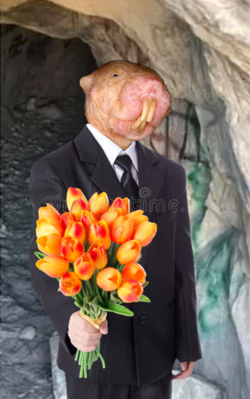 Russell Mole.png