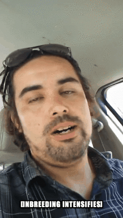 marshall.gif