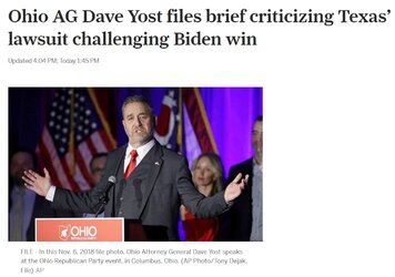 rino.jpg