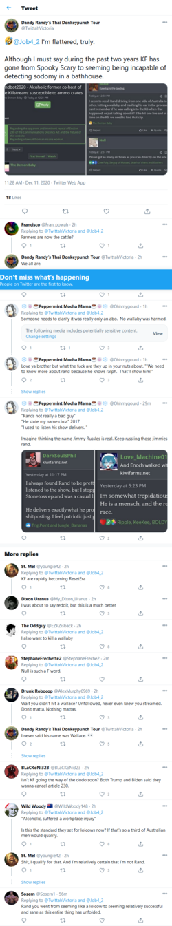 Screenshot_2020-12-11 Dandy Randy's Thai Donkeypunch Tour on Twitter.png