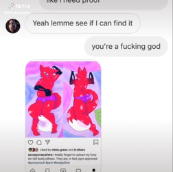 tiktokvideoscreencap02.png