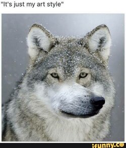 images (31).jpeg