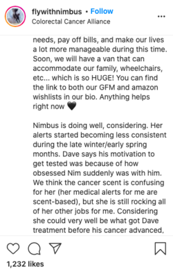 Screen Shot 2020-12-17 at 05.45.26.png