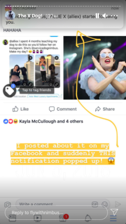 Screen Shot 2020-12-18 at 04.57.48.png
