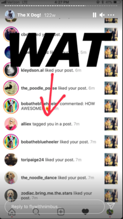 Screen Shot 2020-12-18 at 04.59.21.png
