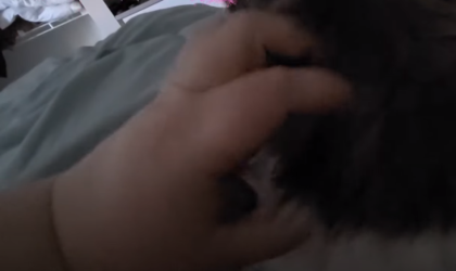 1608326412567.png