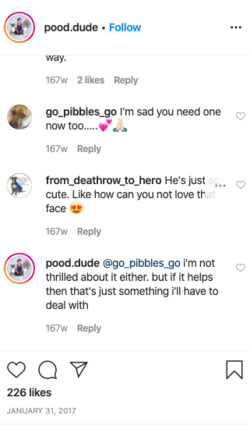 rose129.png