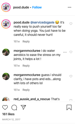 rose167.png rose167.png