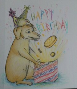 HapBirth_Null01.jpg