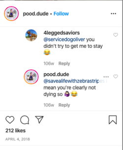 rose264.png