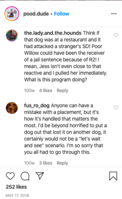 rose284.png