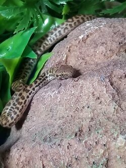 20201101_080542.jpg