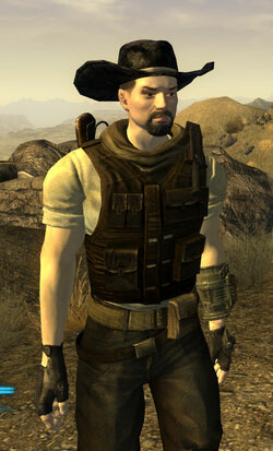 DSP New Vegas.jpg