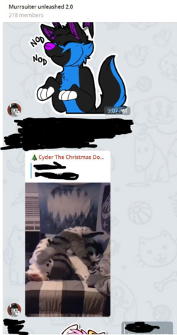 1608515788886.png