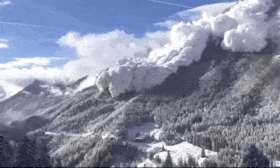 nature_14.gif