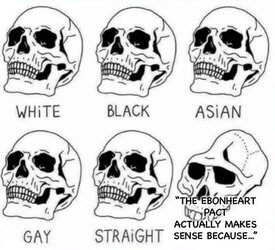 5vd0smnlf6u41.jpg