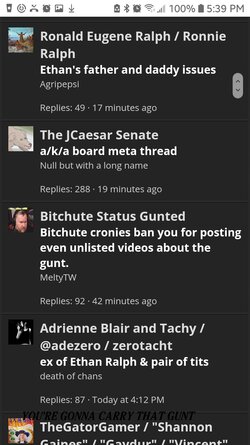 Screenshot_20201228-173901_Samsung Internet.jpg