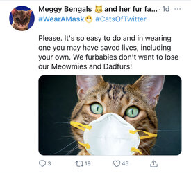 67B60D7D-0733-47E6-873E-1EC6B2931FA7.jpeg
