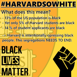 blm harvard.png