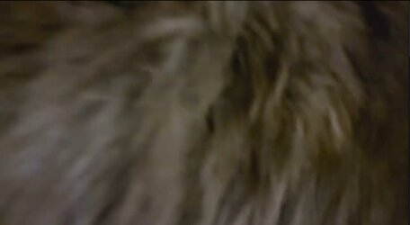 Screenshot_20201231-221215_YouTube.jpg
