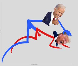 3992465 - Donald_Trump Joe_Biden politics.jpg