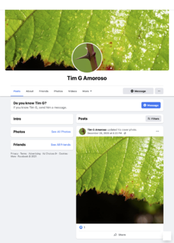 (20+) Tim G Amoroso | Facebook.png
