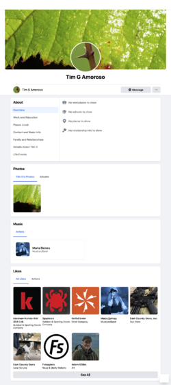 facebook interests.png