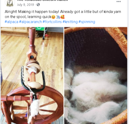 yarn.PNG
