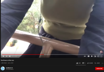 Screenshot_2021-01-02 Sachiowo at the zoo - YouTube.png